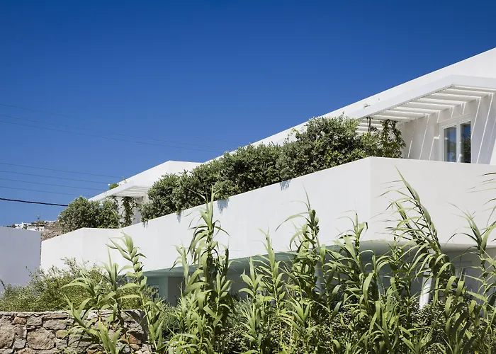 Mykonos Dove Beachfront 酒店 普拉迪斯亚罗斯