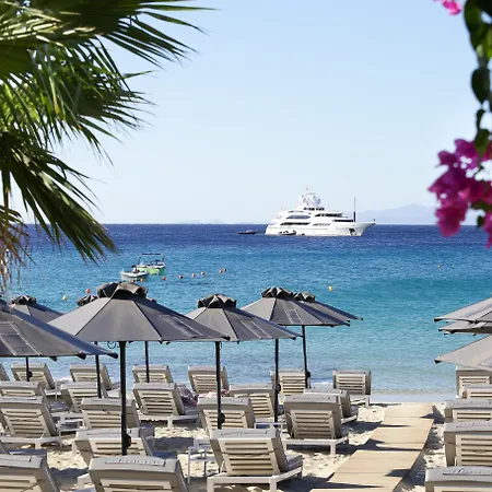 Mykonos Dove Beachfront Платис Ялос