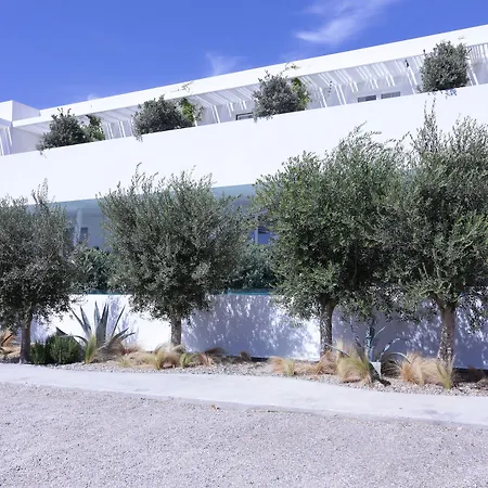 Mykonos Dove Beachfront 5* Платис Ялос